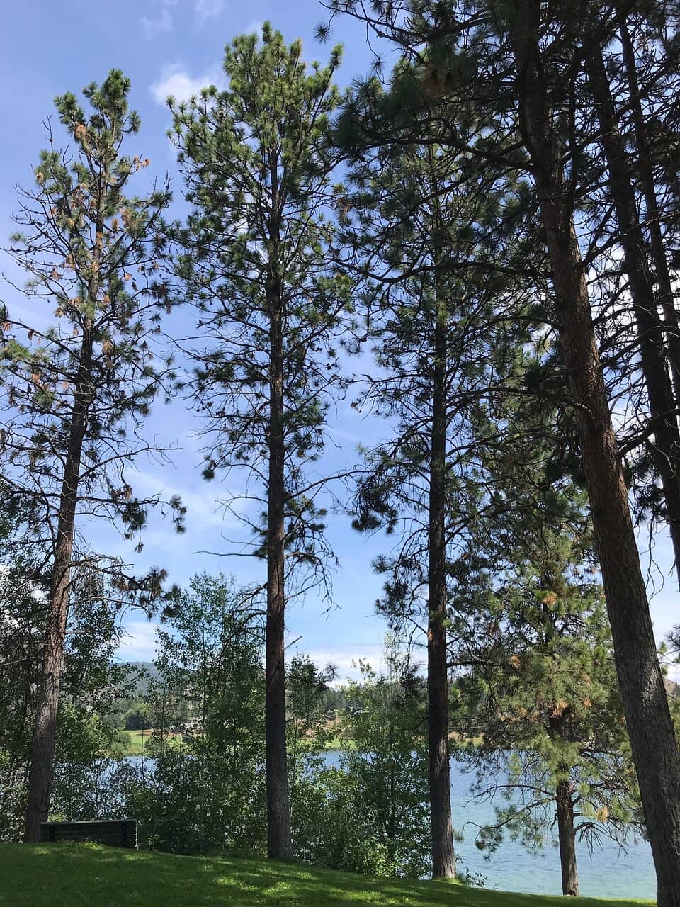 Vertical photo
