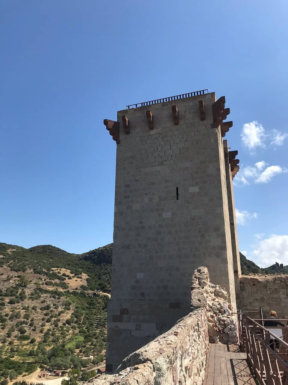 Vertical photo