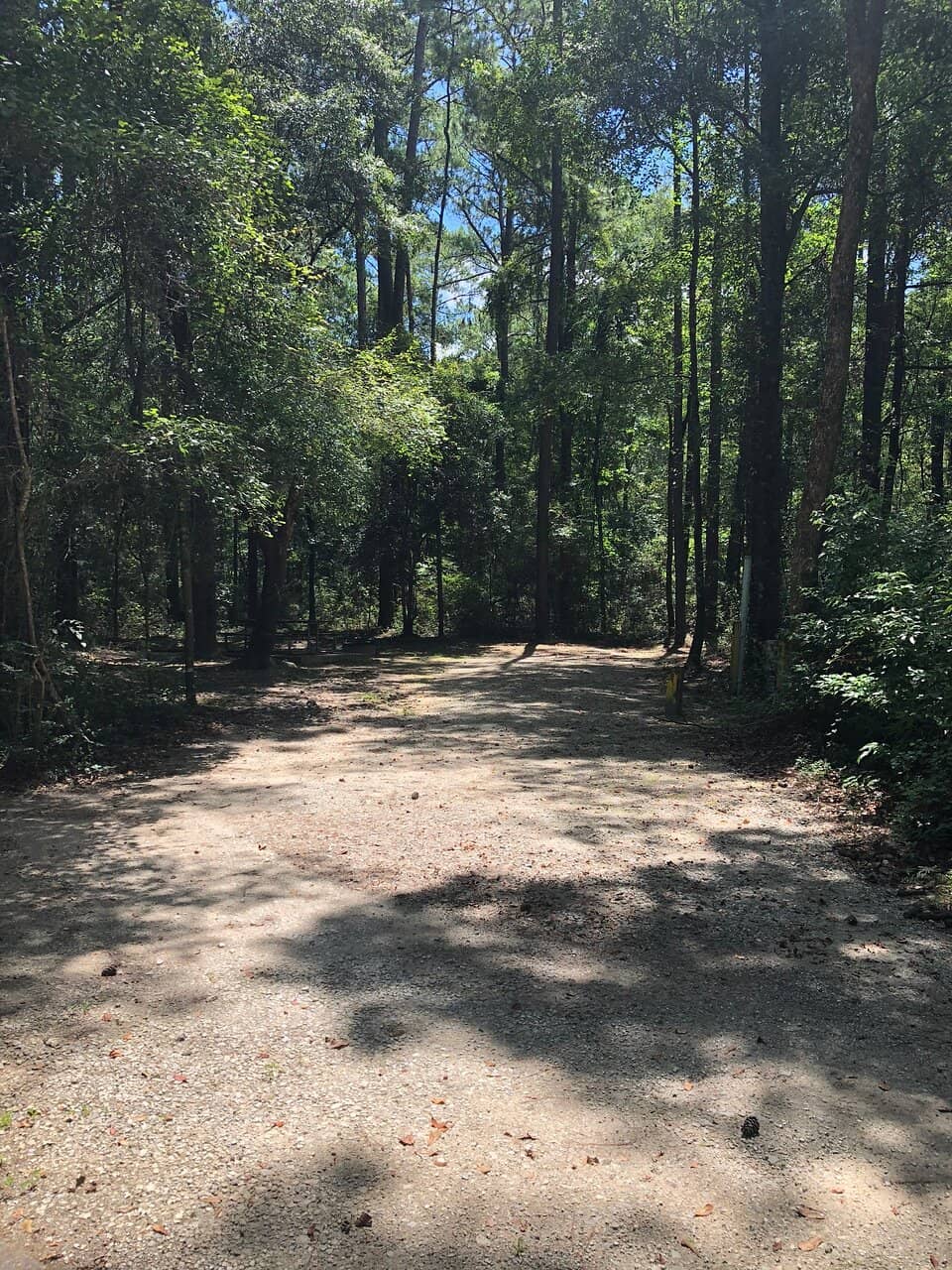 Disc Golf Course