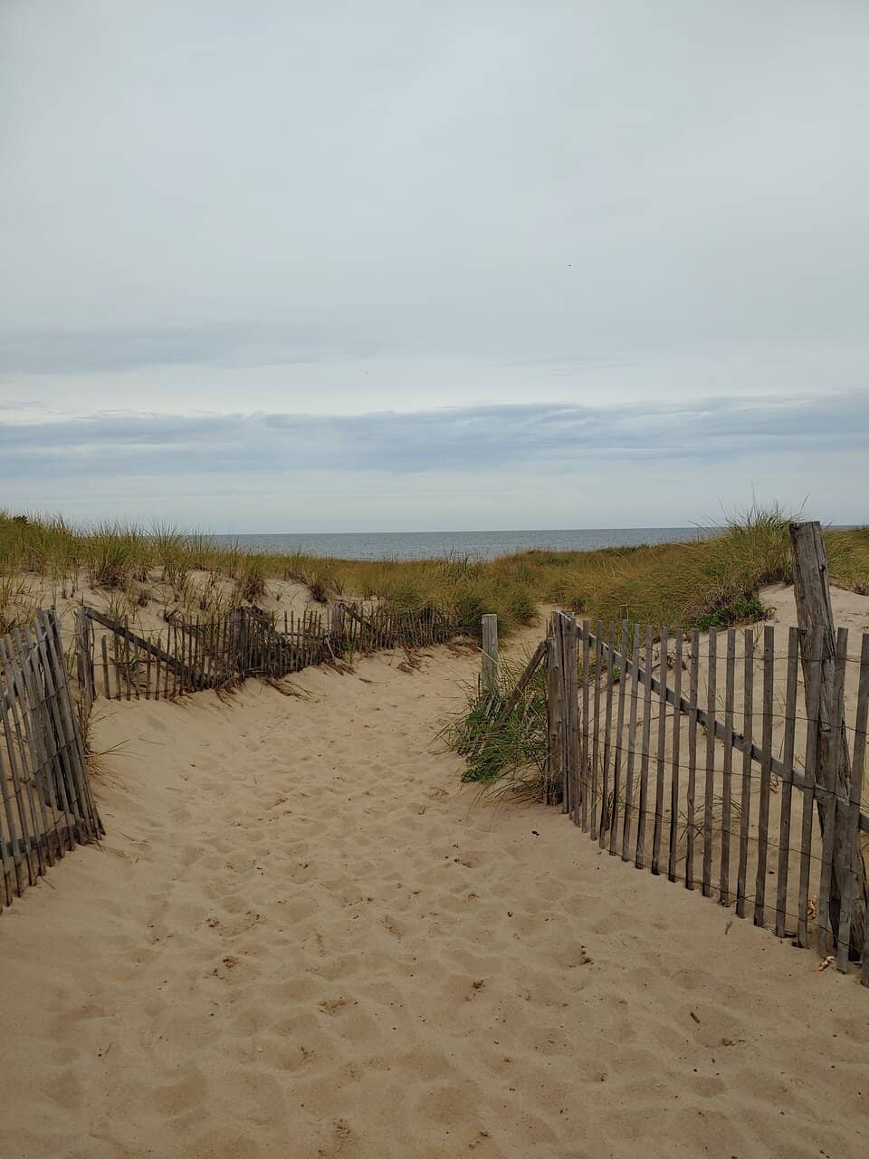 Visitor Center Exhibits