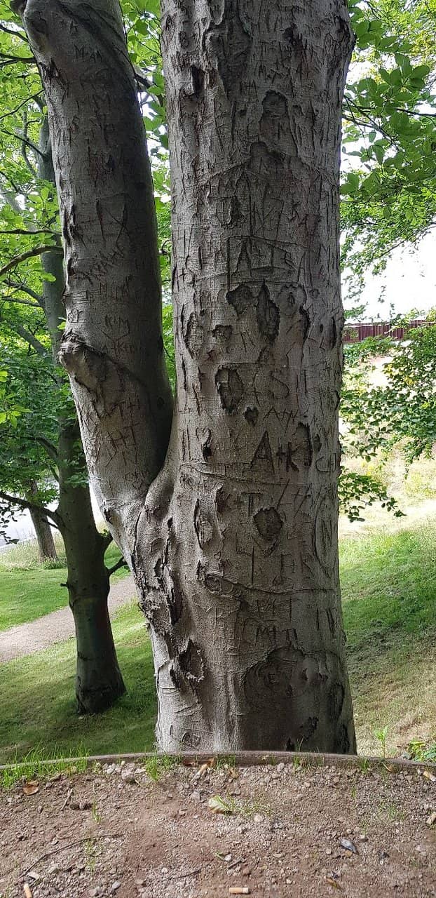 Lykkens Have (Garden of Happiness)