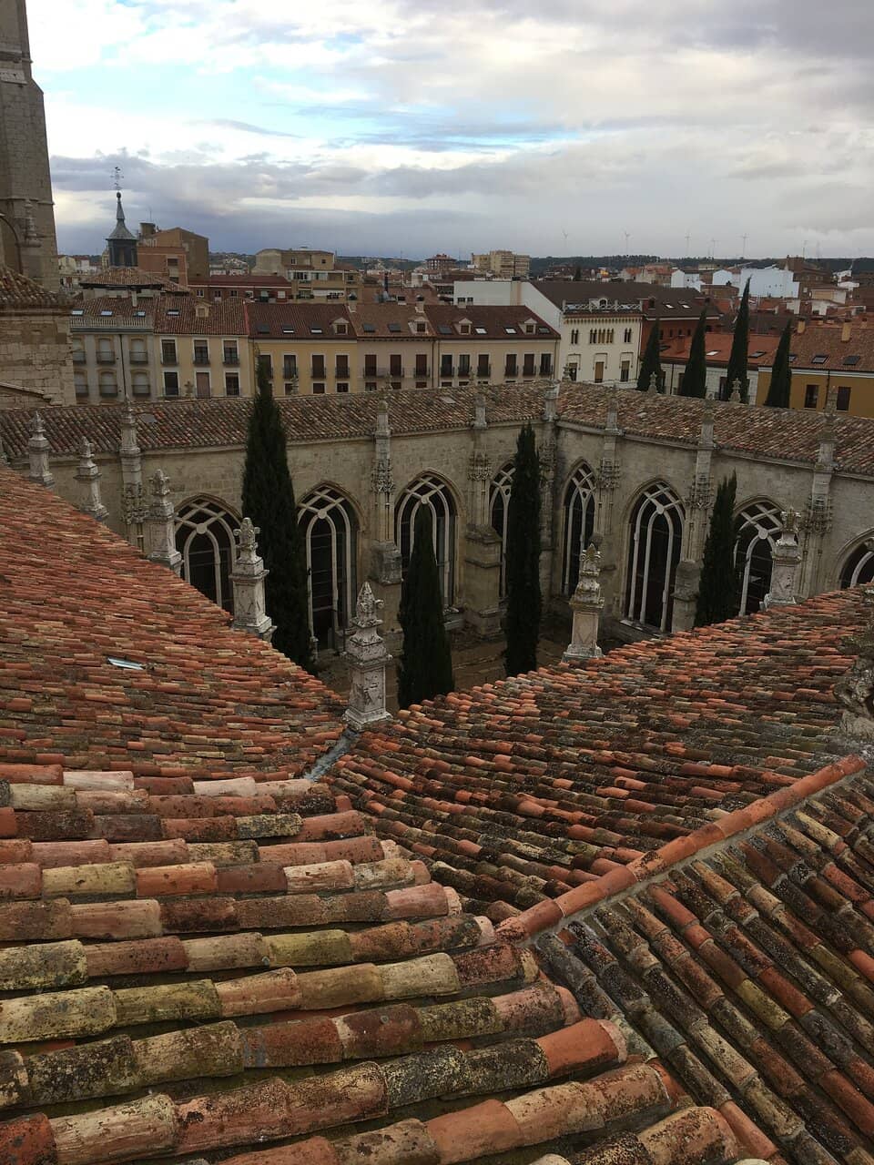 Stork Nests on the Tower