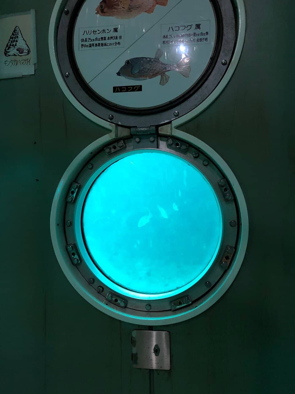 Coastal Walk and Beach