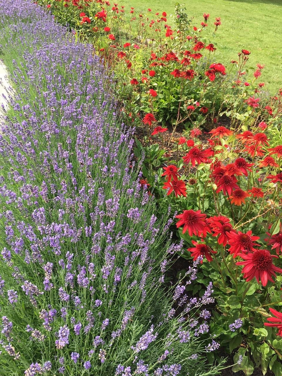 Castle Gardens
