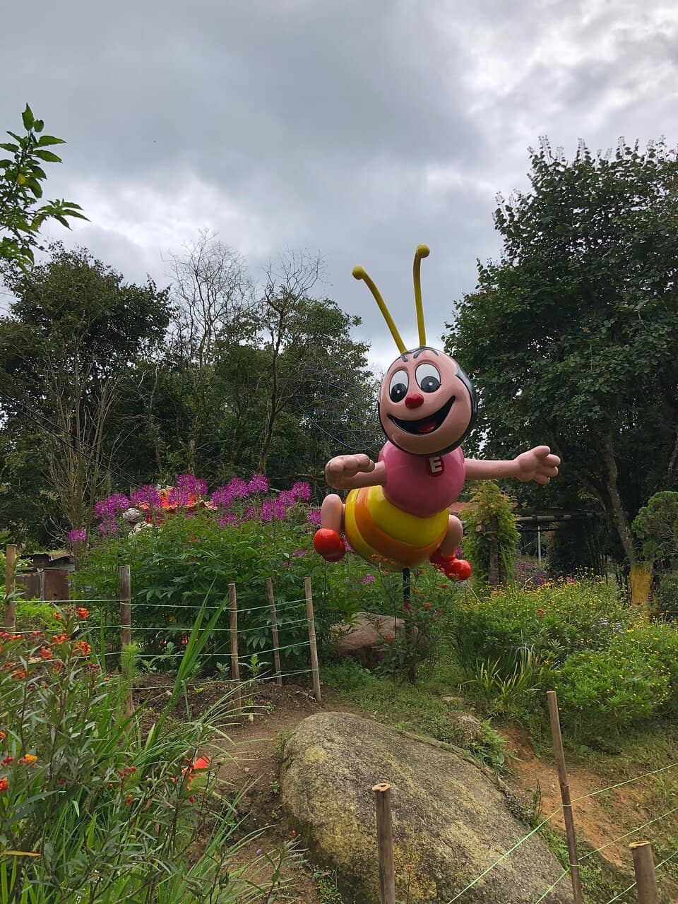 Observing Bee Activity
