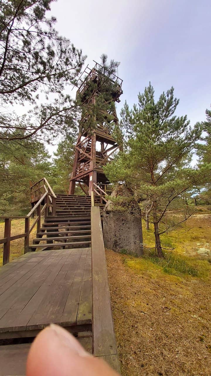 WWII Equipment Display