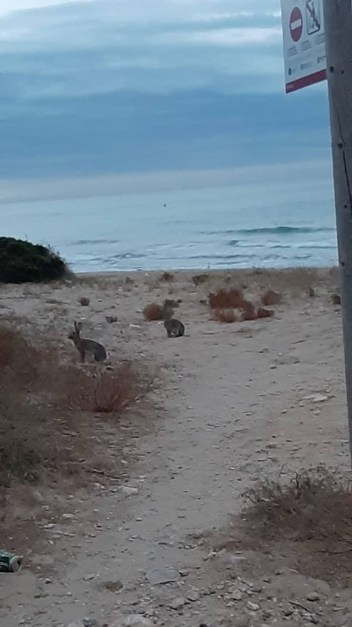 Shallow, Calm Waters