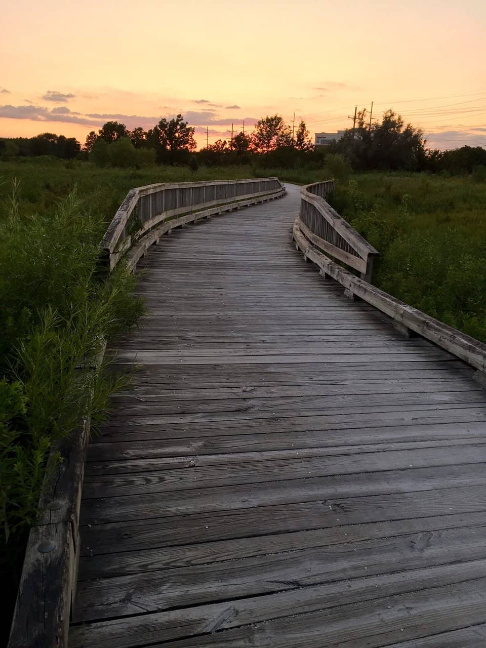 Habitat Restoration Areas