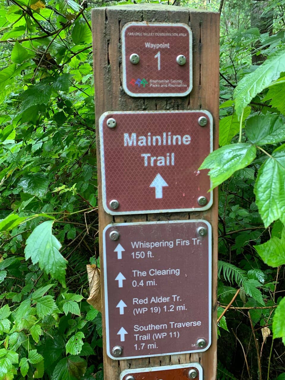 Loose Stream Walk