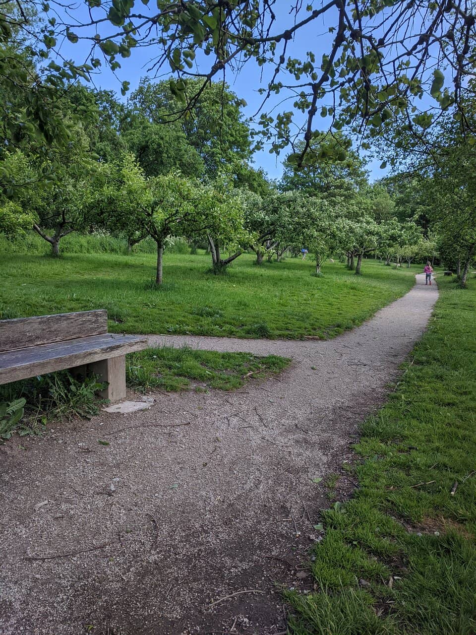 Ancient Boundary Traces