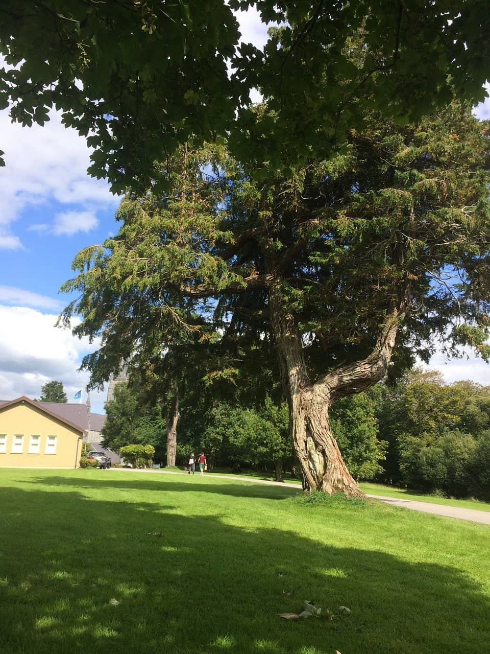 Knockreer Playground