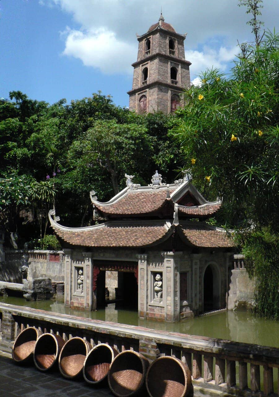 Tranquil Lotus Ponds