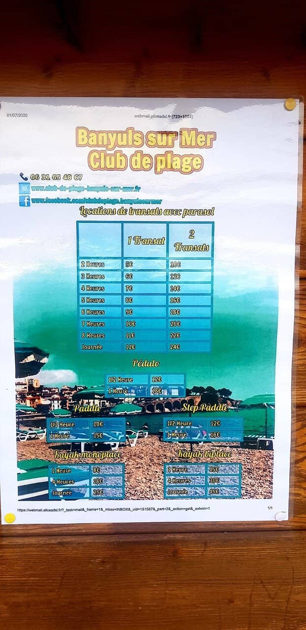 Tree-Lined Promenade