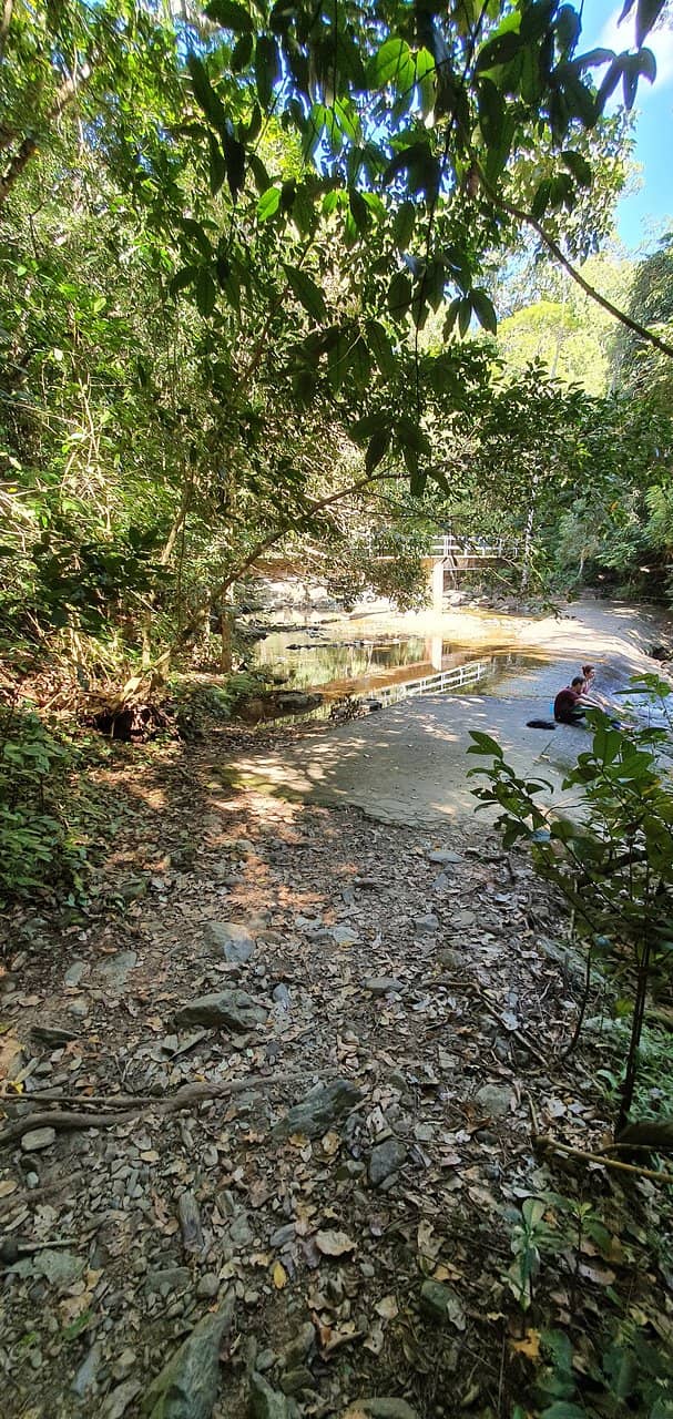 Kuranda Scenic Railway View