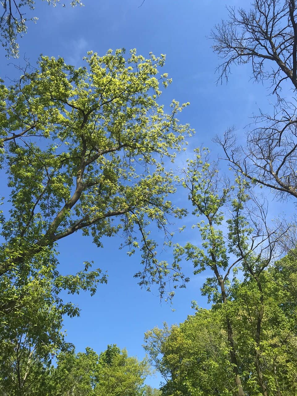 Vertical photo
