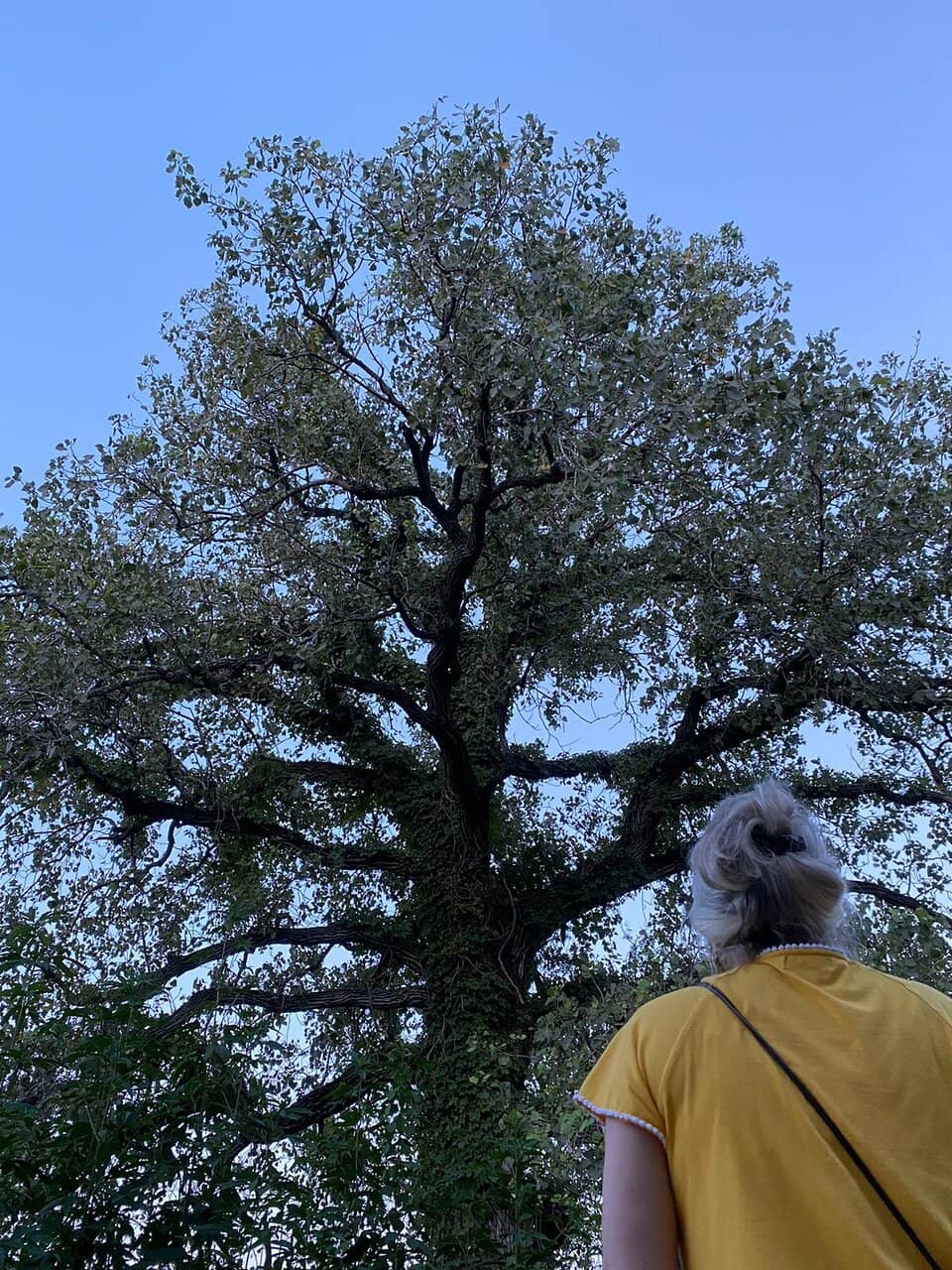 Vertical photo
