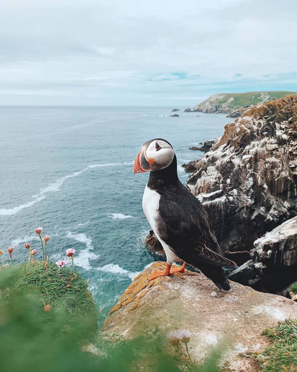 Tartessian & Phoenician Ruins