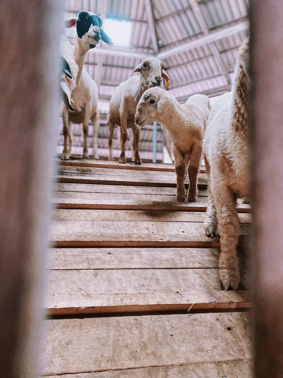 Park and Garden Exploration