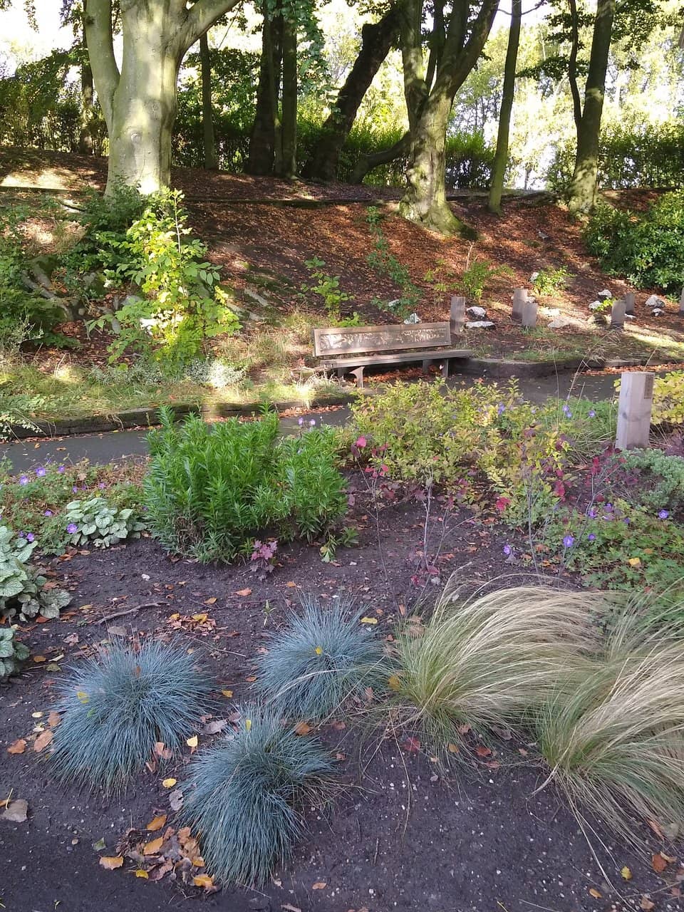 Fishing Pond & Nature