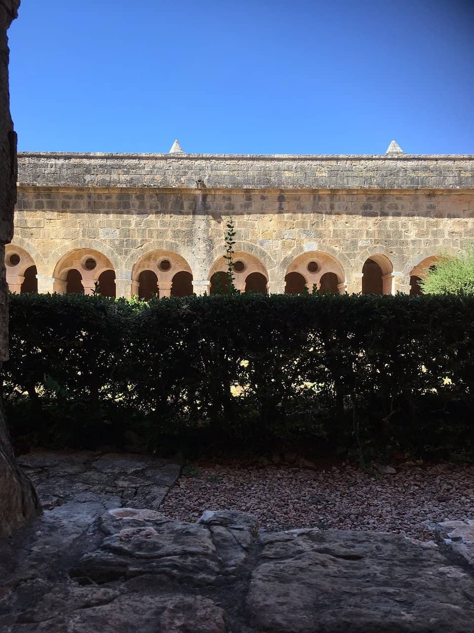 The Cloister and Surroundings