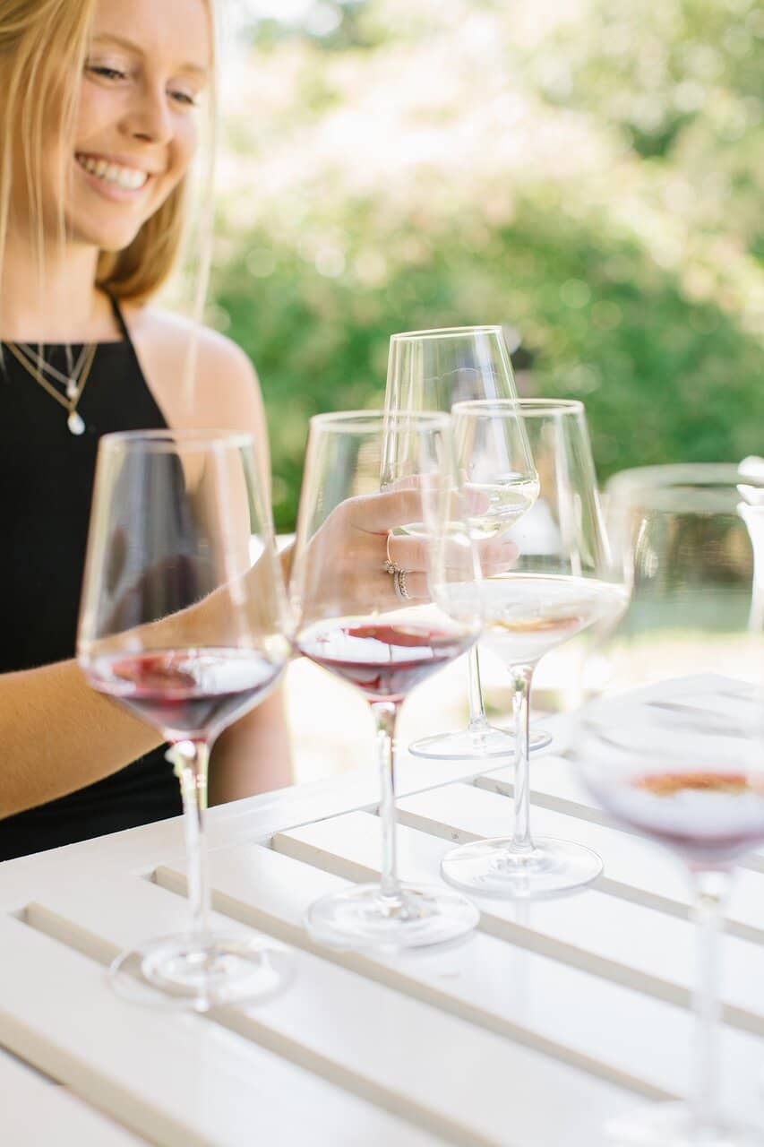 Vineyard Views & Bistro Bites
