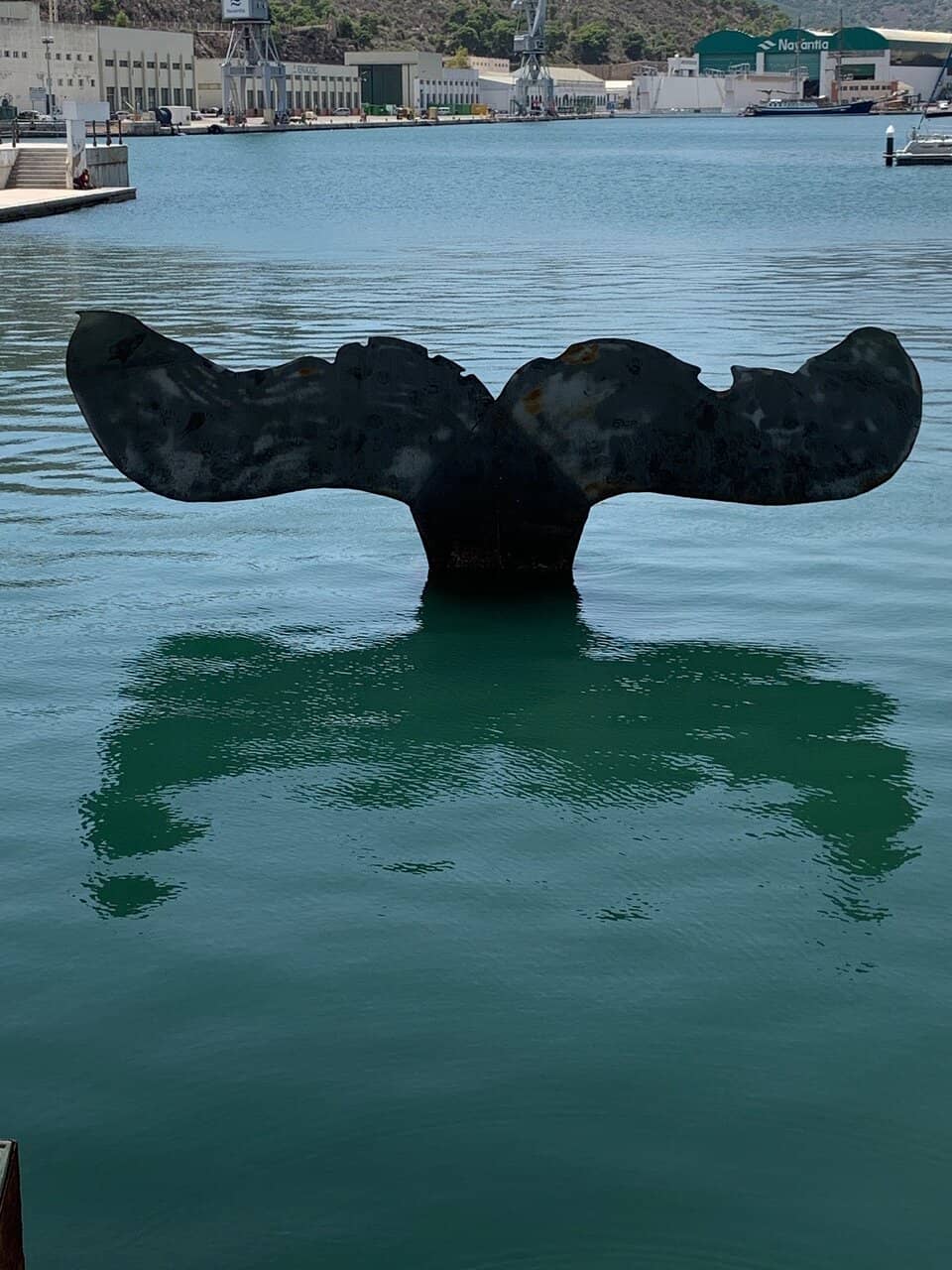 The Majestic Tay Whale