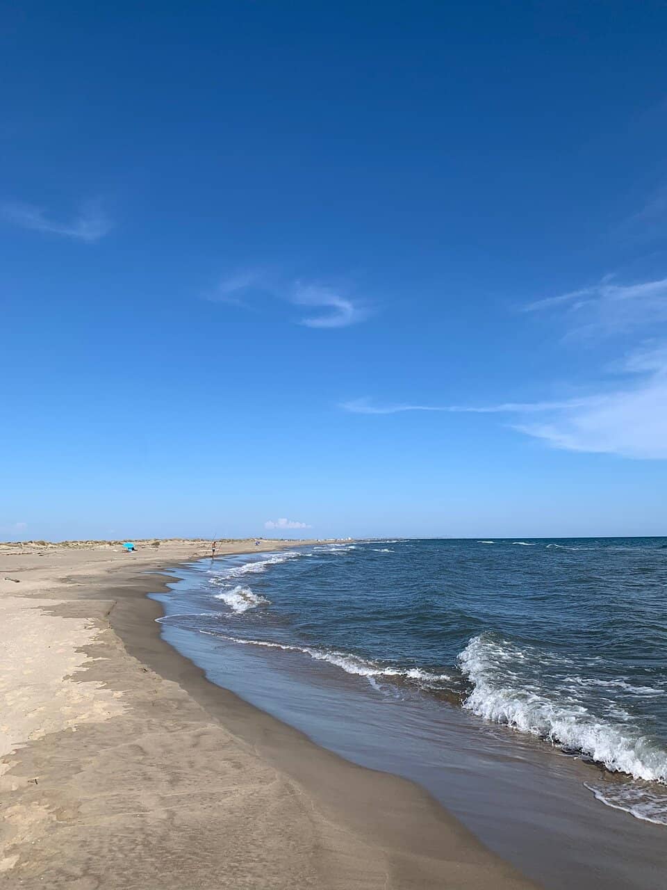Expansive Sandy Shores