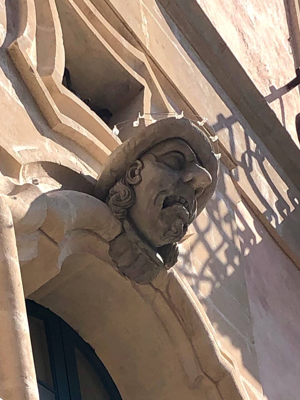 Vertical photo
