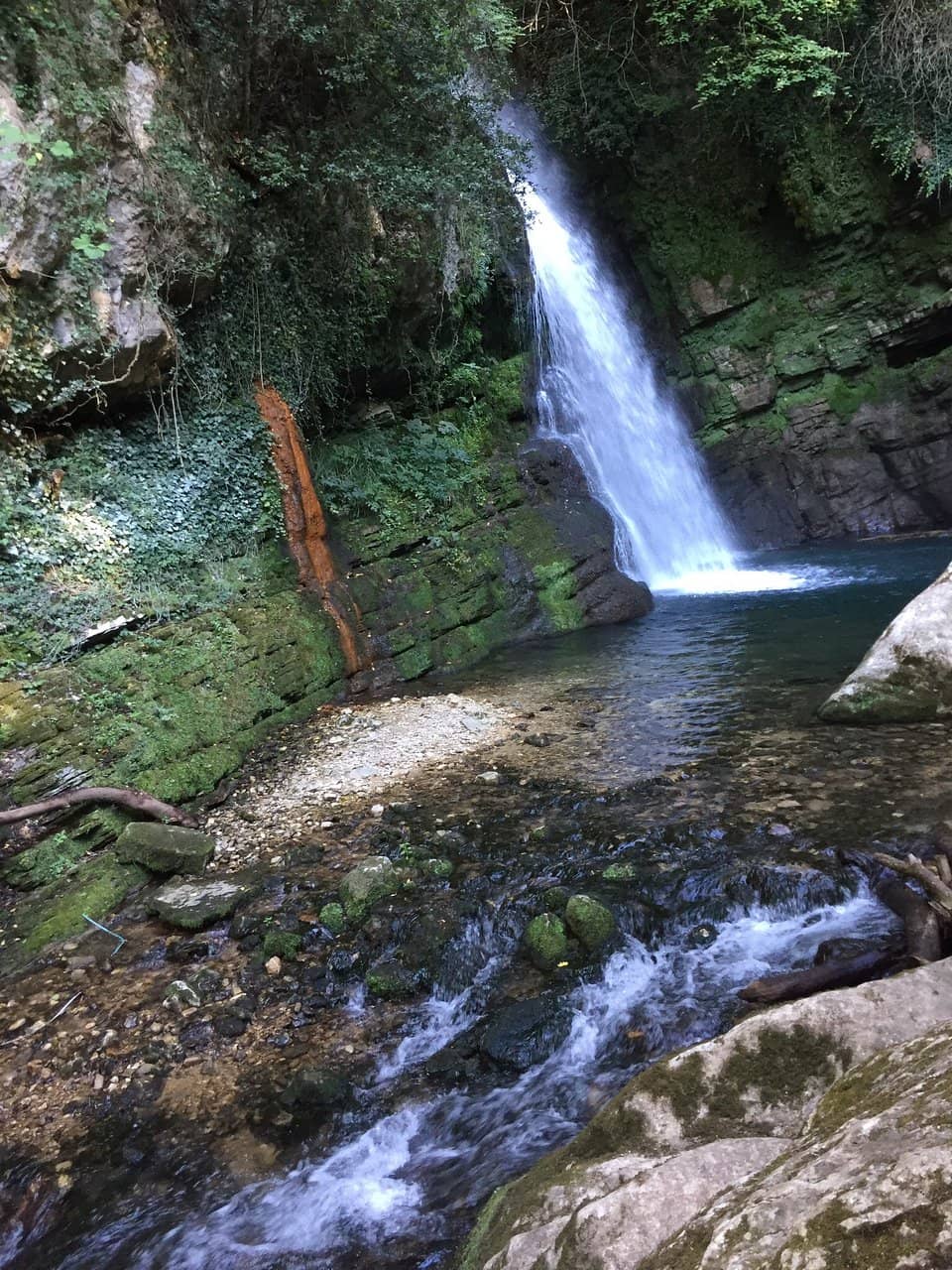 Vertical photo