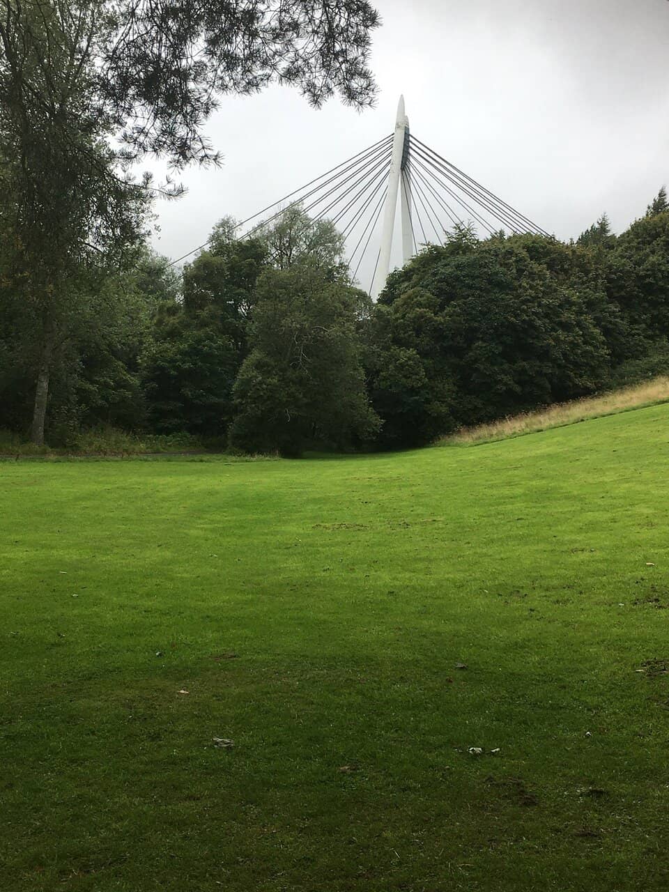 Vertical photo