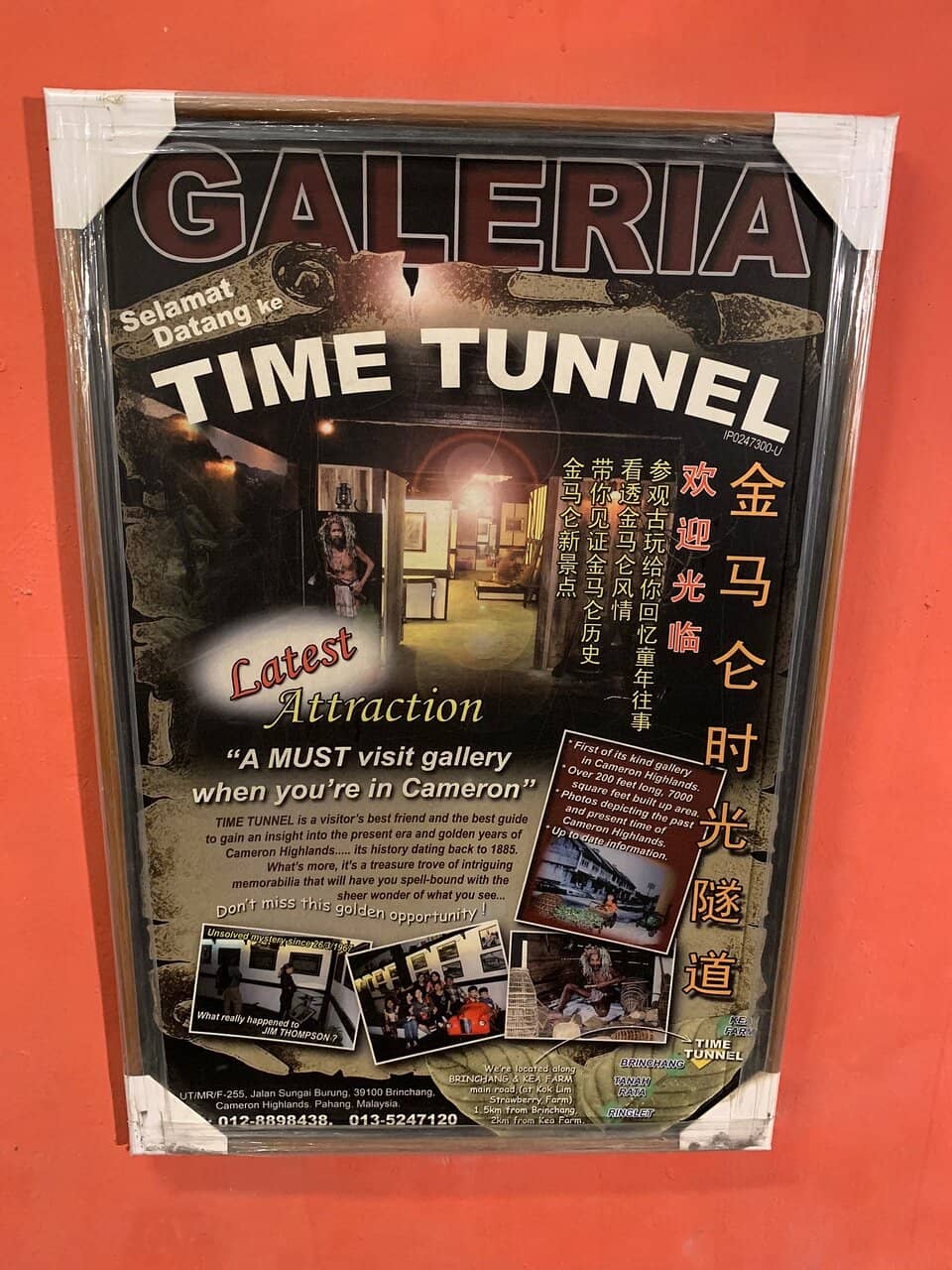 Vertical photo