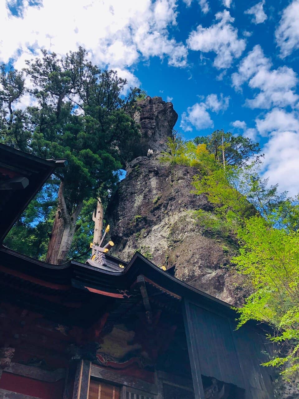 Vertical photo