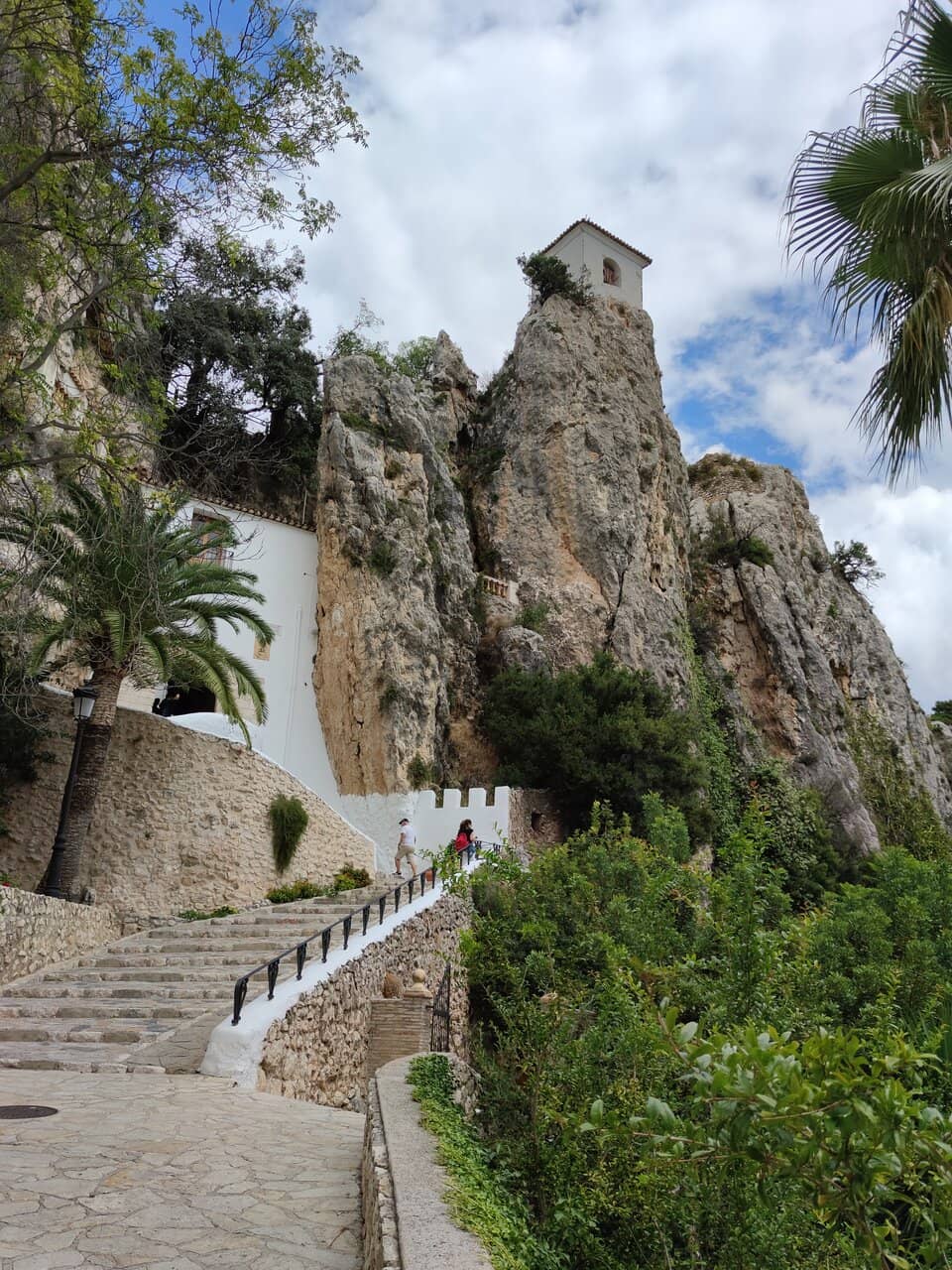 Vertical photo
