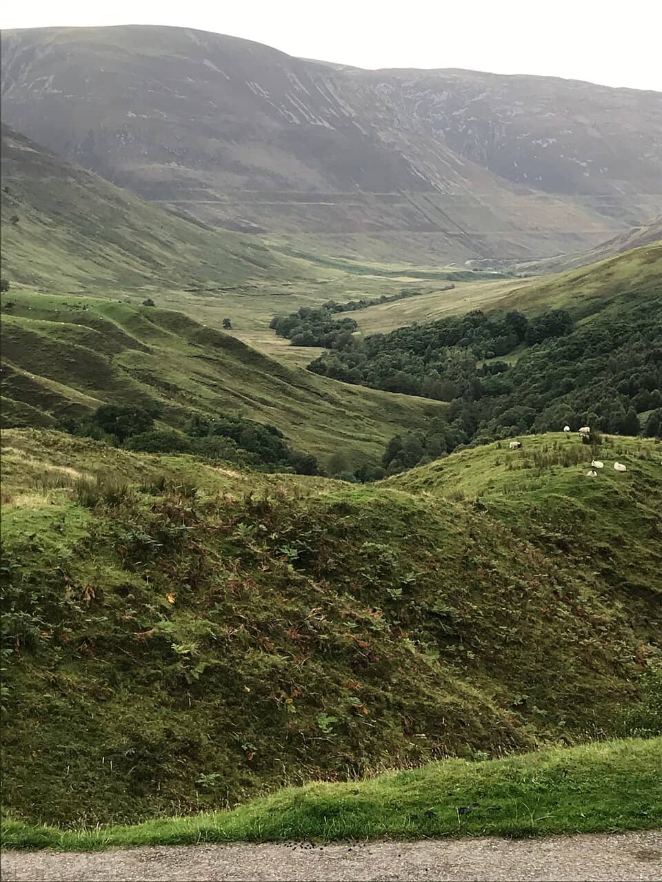 Vertical photo