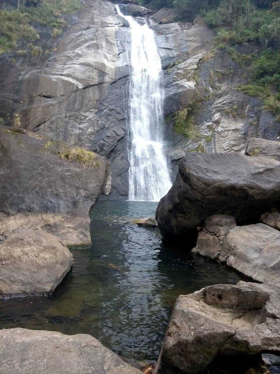 Lush Greenery Trek