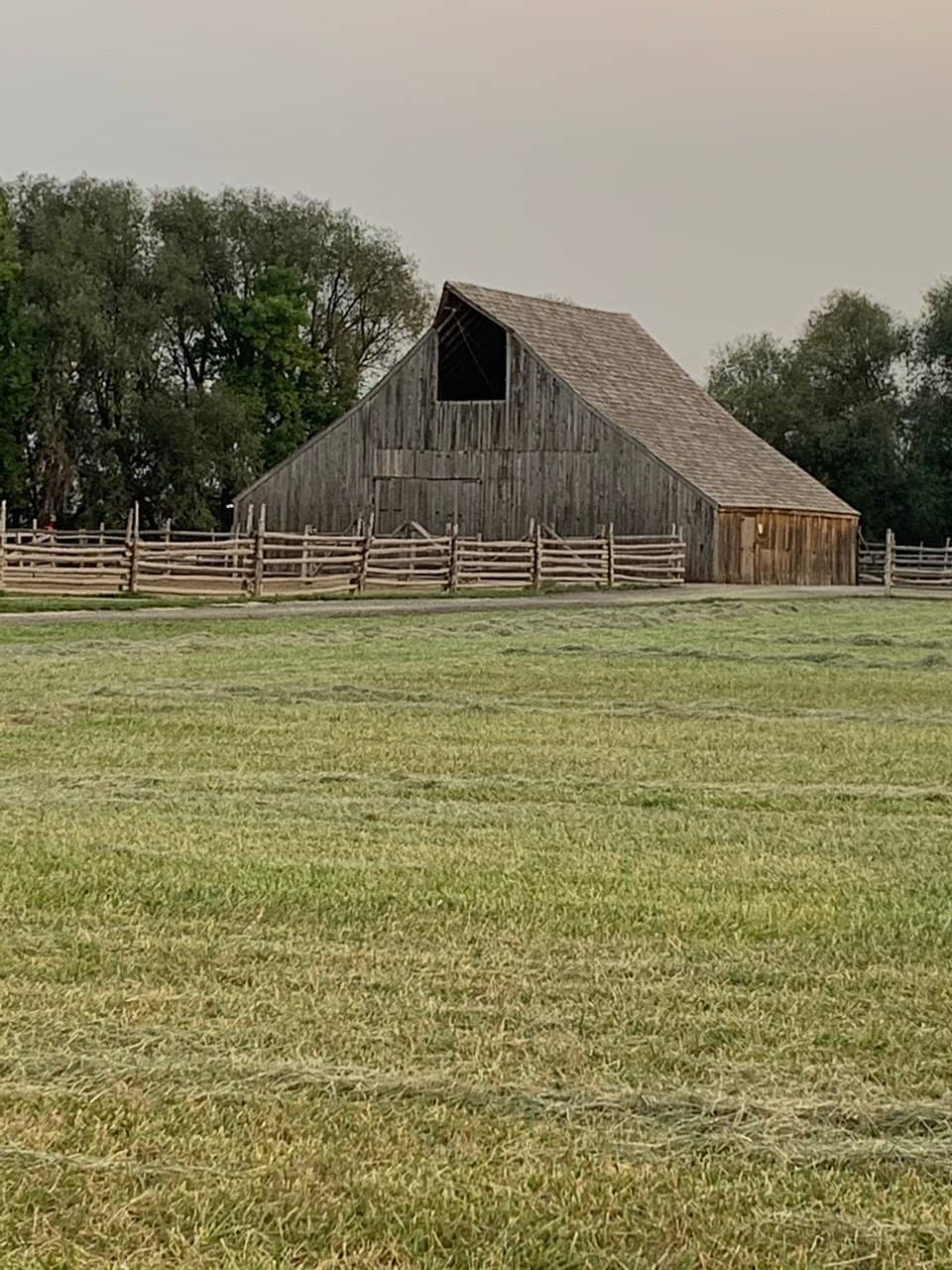Horse-Drawn Wagon Rides