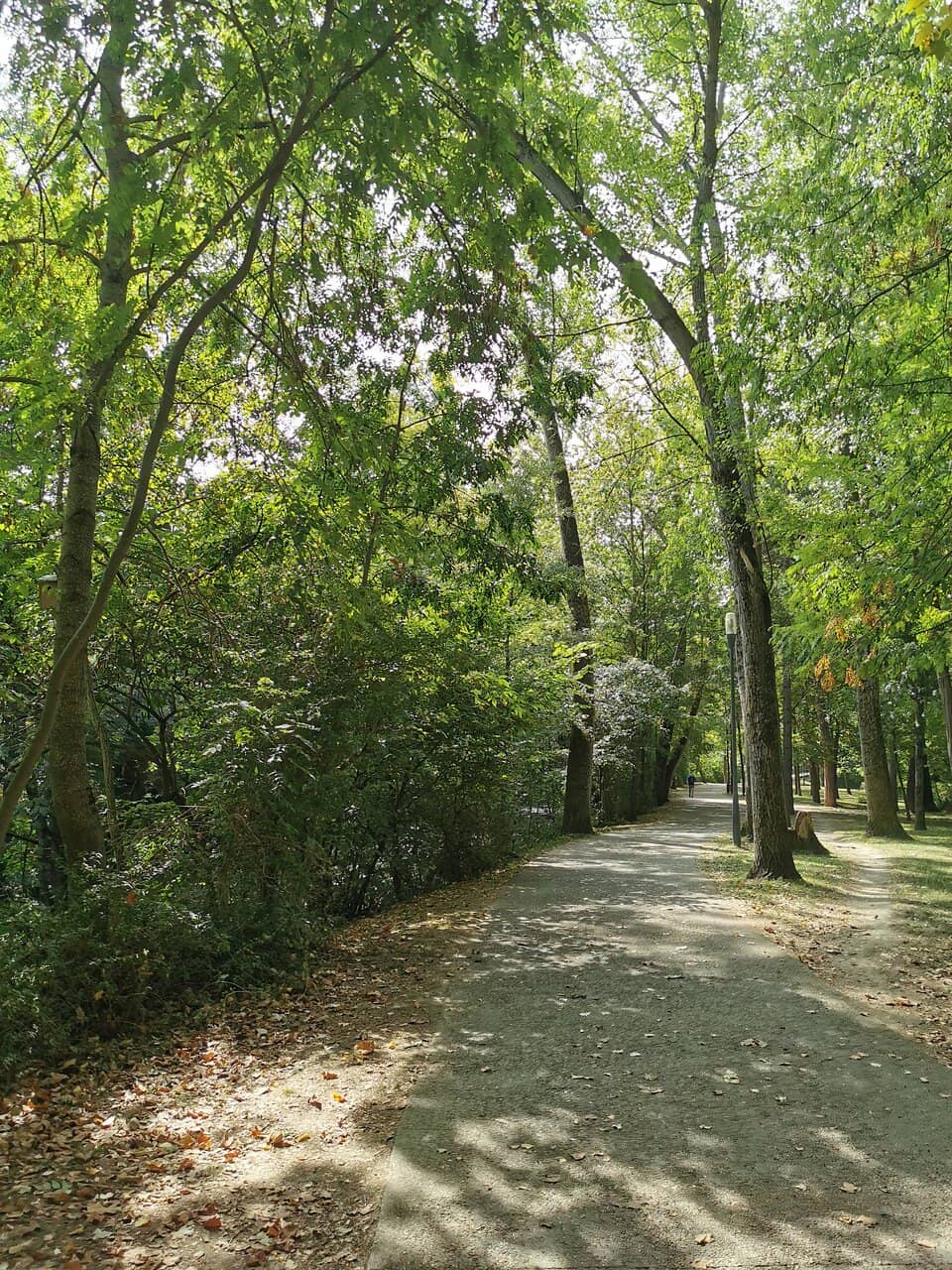 Well-Maintained Paths