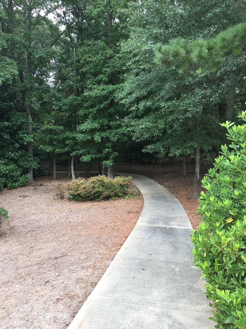 Shaded Picnic Area