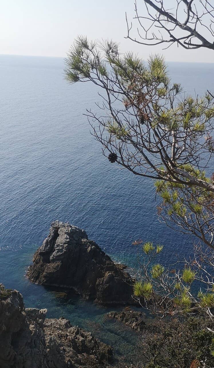 Secluded Coves