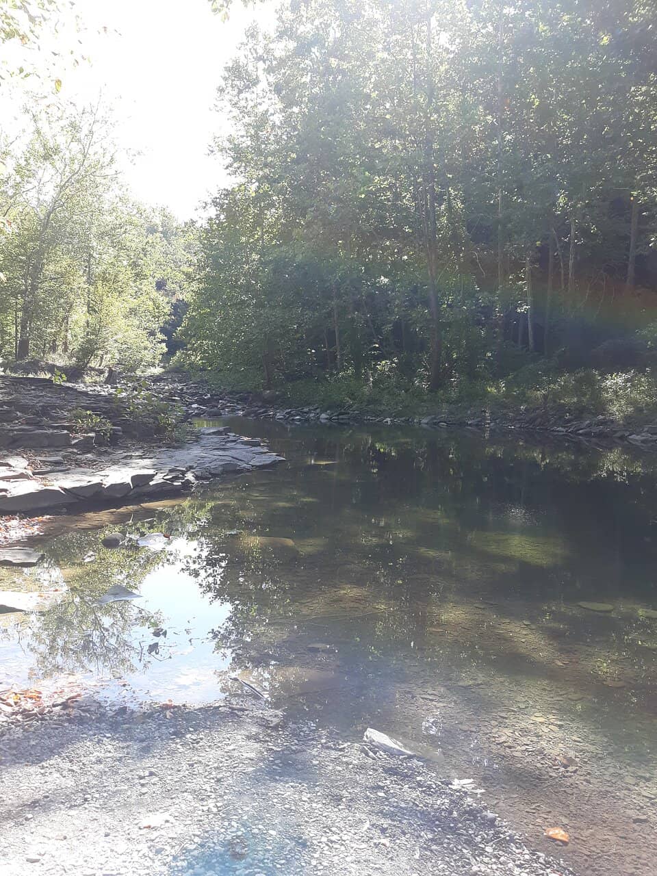 Mulholland Wildflower Preserve