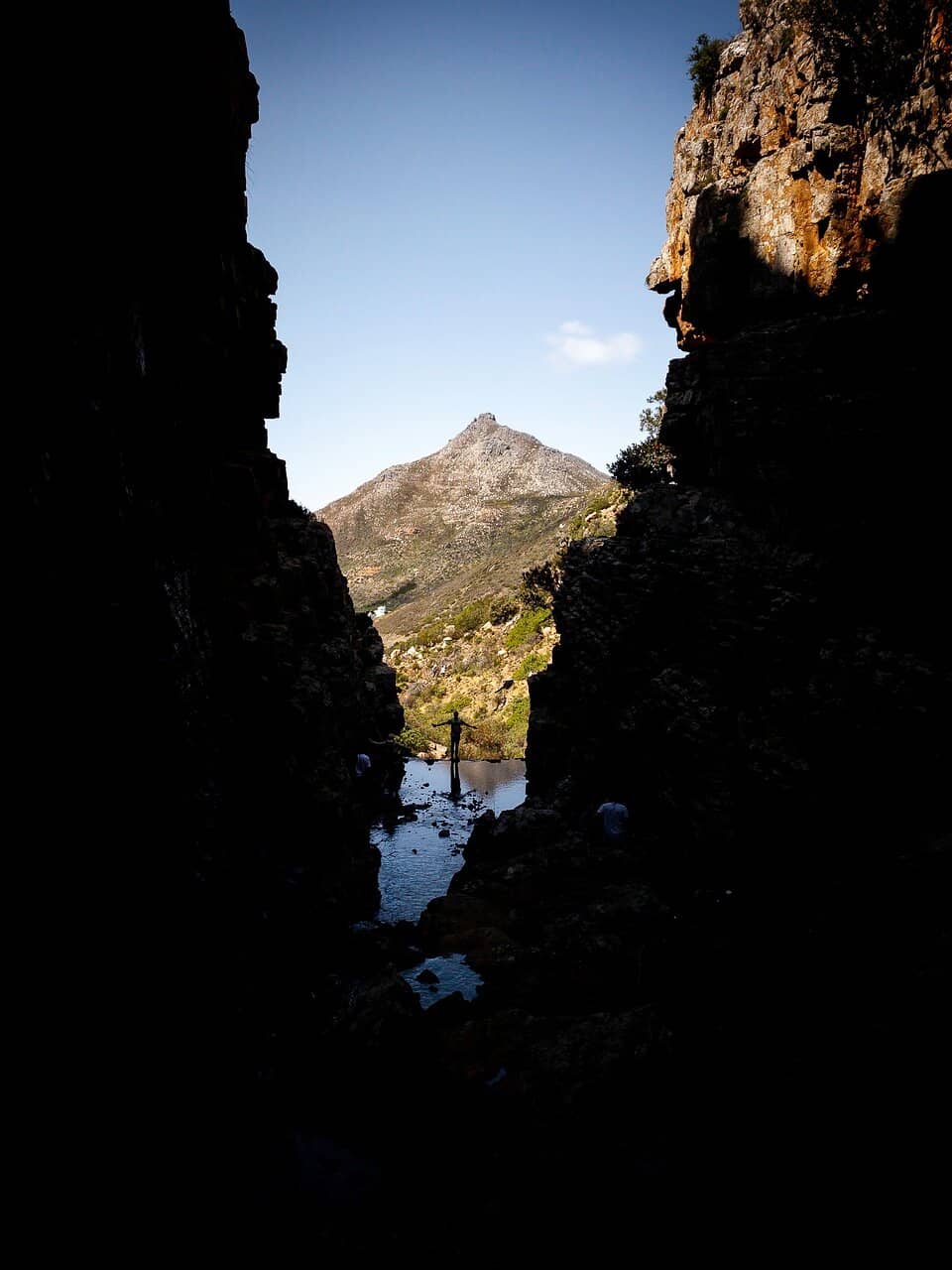 Vertical photo