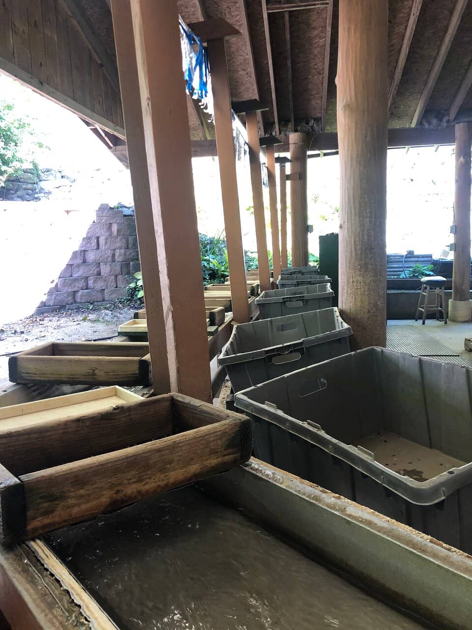 Adorable Animal Encounters