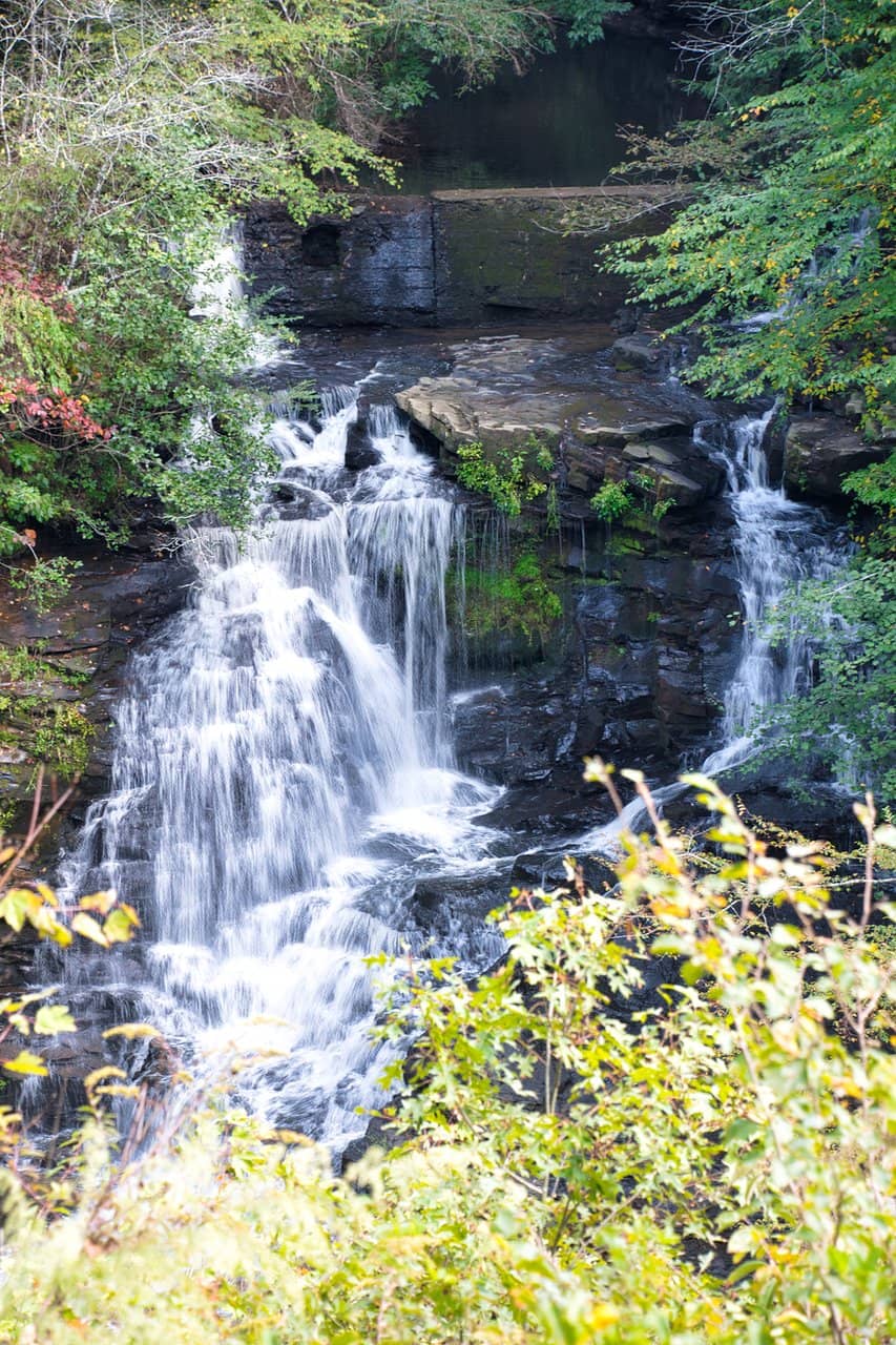 Lower Waterfall Hike