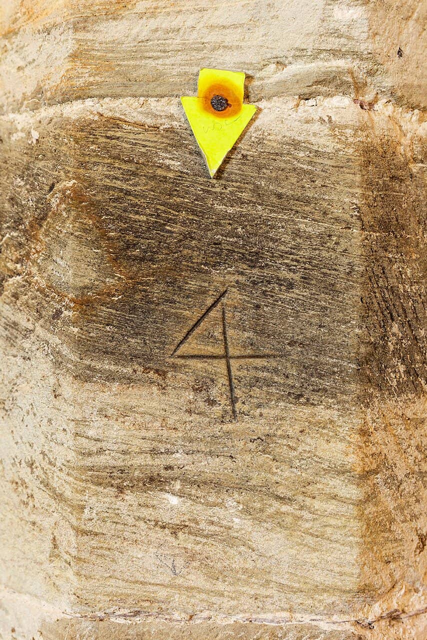 Church Interior & Museum