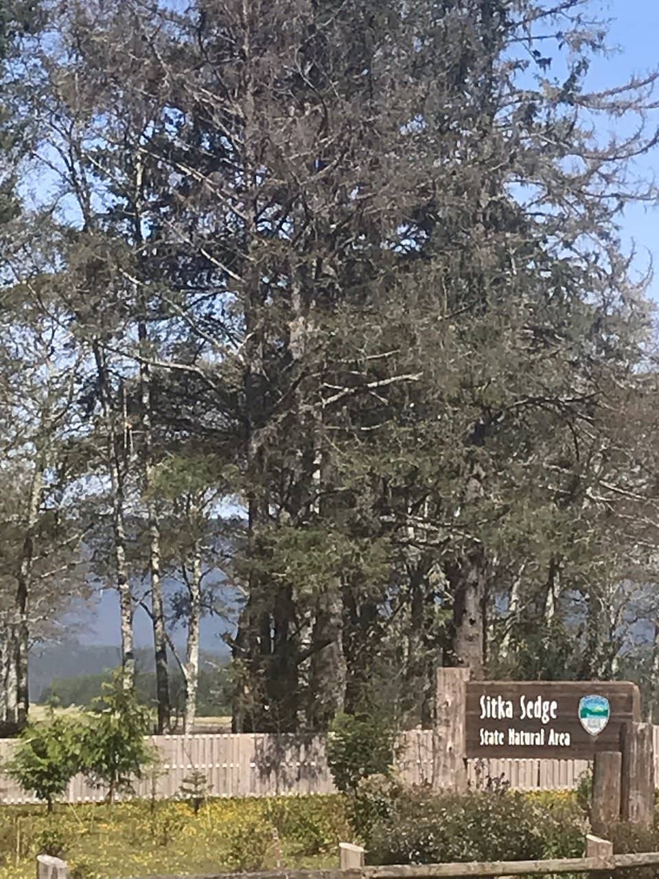 Secluded Beach Access