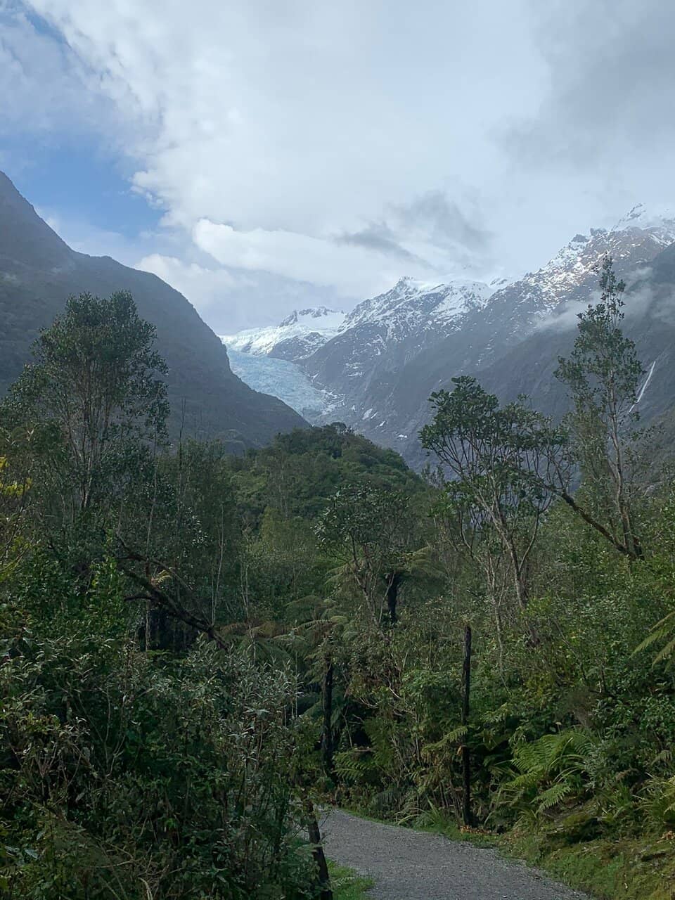 The Primrose Wreckage