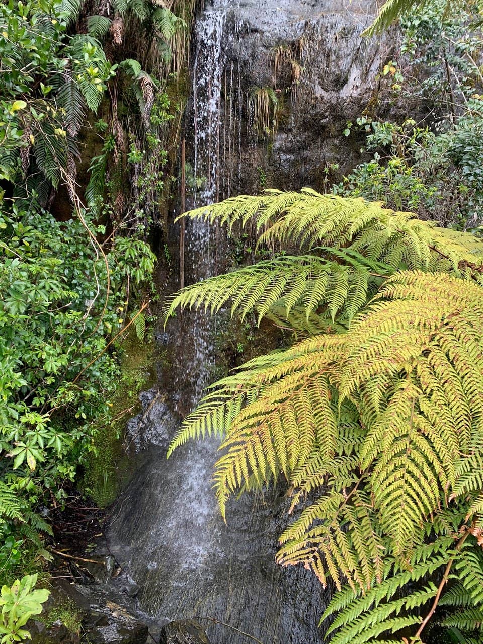 Remote Island Landscape