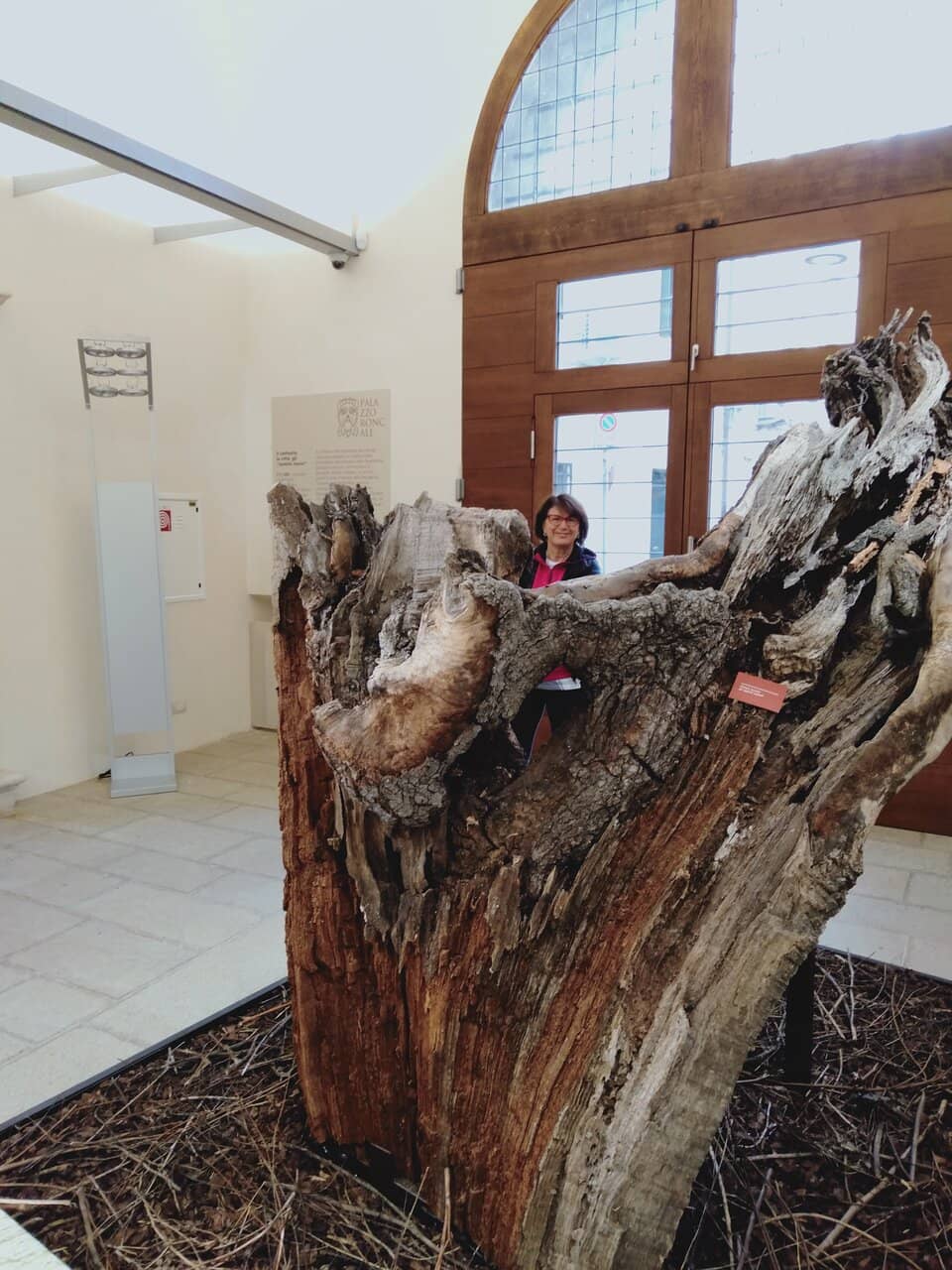 Local Artist Showcases