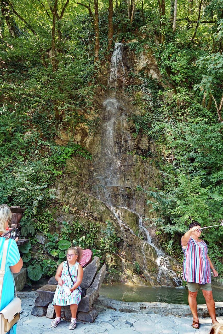 Vertical photo