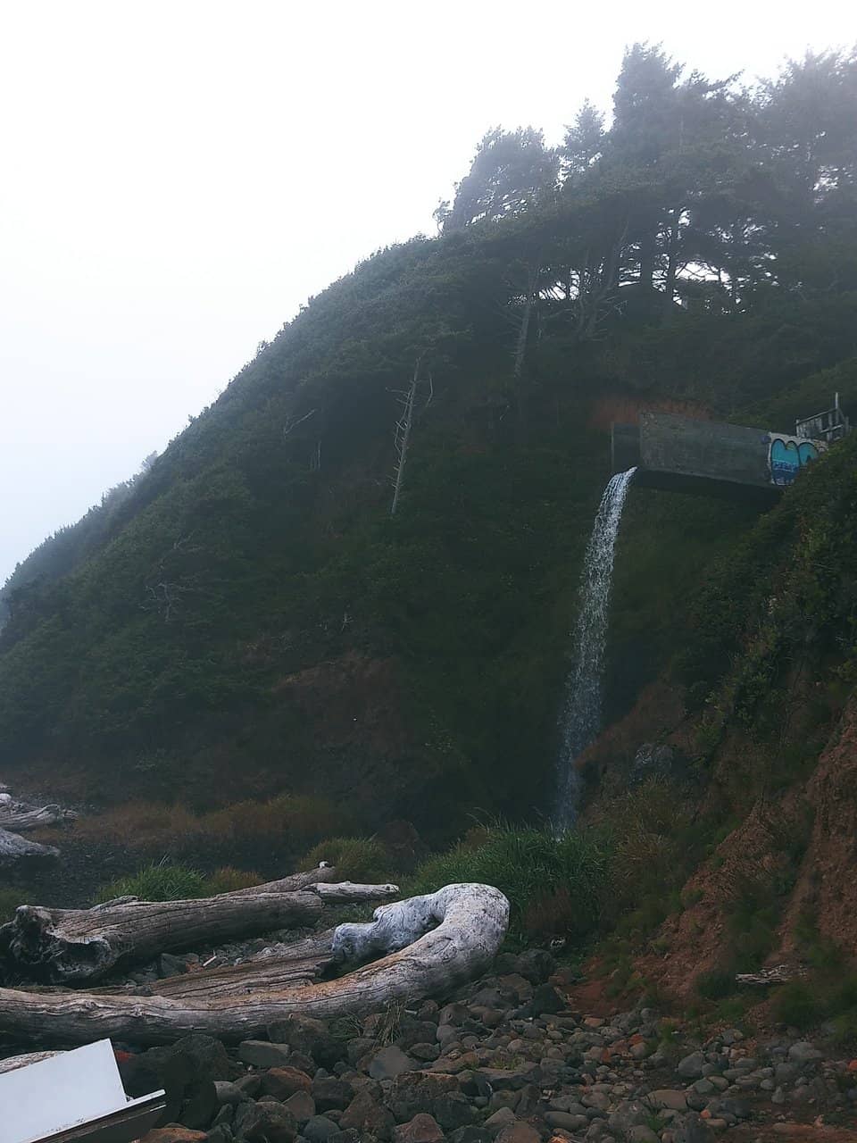 Vertical photo